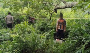 cakaplahcom_wtrm9_130530