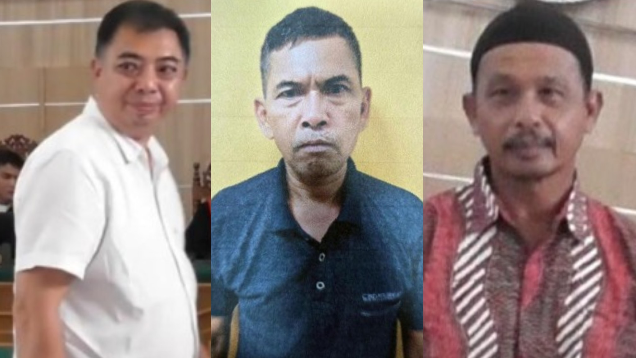 DPO hutan